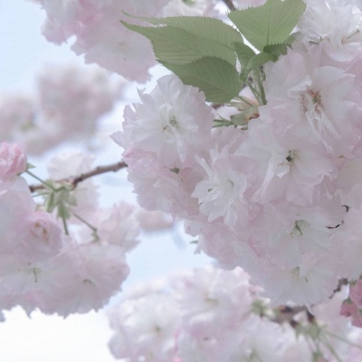 Furry插画创意构思兽圈社群